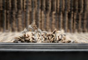 Carpet Store in Edmonton - Sierra Flooring